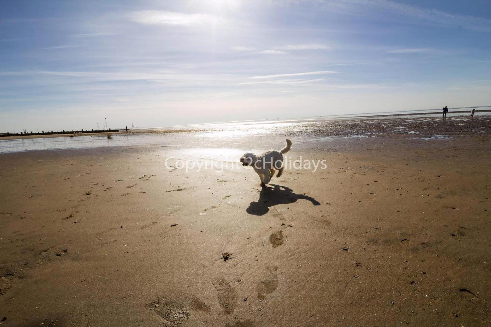6 Berth Caravan By The Beach In Hunstanton In Norfolk, Pets Welcome Ref 13009L Eksteriør bilde